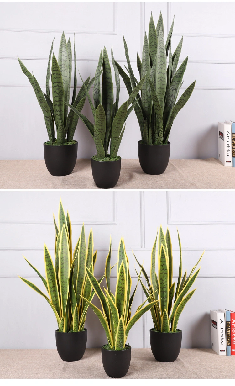 Artificial Table Decoration Plastic Sansevieria Hahnii Snake Plant with Pot for Sale