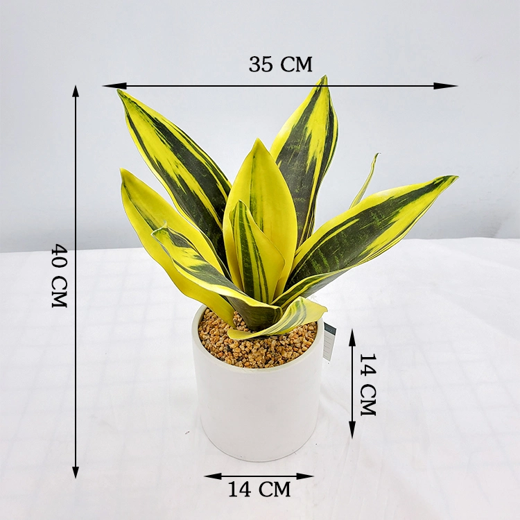 Simulation Table Decoration Plastic Sansevieria Hahnii Snake Plant for Sale