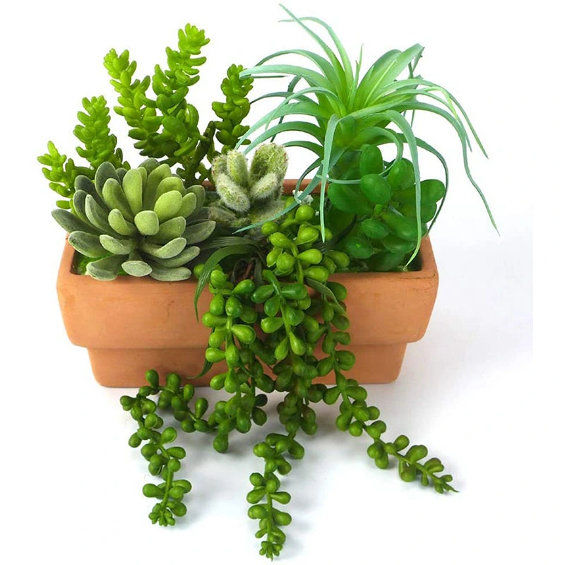 High Quality Plastic Small Lover′ S Tears Artificial Succulent Hanging Plants