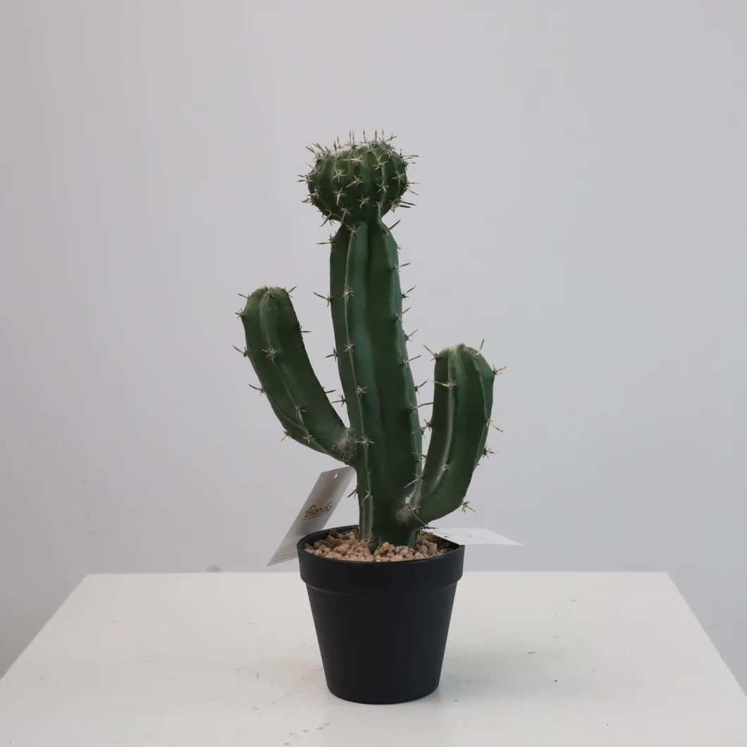 Wholesale Mini Export Cactus Indoor Decorative Plant Plastic Cacti Green Rare Potted Artificial Cactus Tree Bonsais