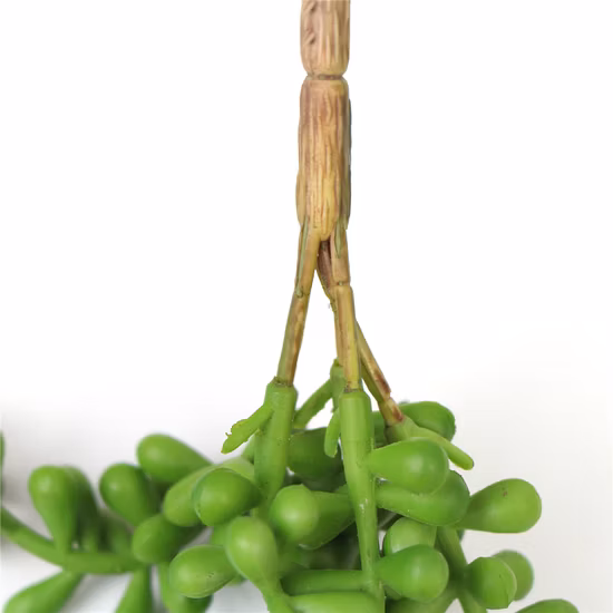 벽 훈장을 위한 즙이 많은 식물을 거는 신식 유행 이동할 수 있는 조경