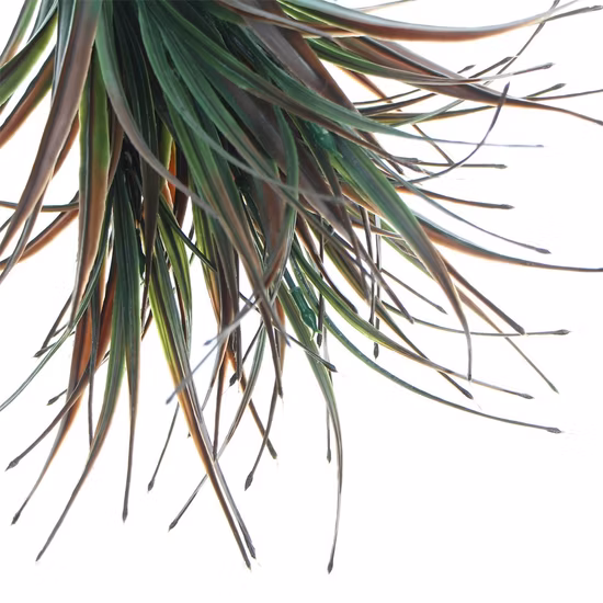 반대로 UV 70는 가정 벽 걸이 훈장을 위한 인공적인 분지 잎이 많은 녹색 식물을 남겨둔다